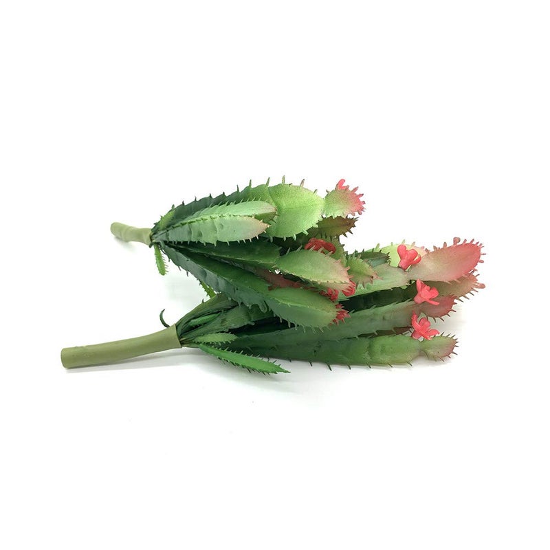 EBUYOM 2 PCS Mini Artificial Succulents Plants Unpotted Faux Cactus Fake Succulent Bouquet Arrangements Faux Plants DIY for Garden Decor Home Decoration Greenery Set (Mini Cactus) - Image 5